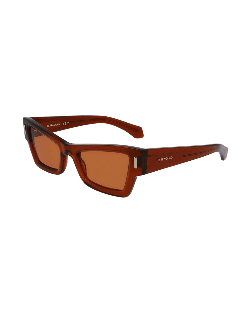 Salvatore Ferragamo Brown Acetate Sunglasses Glam Steals