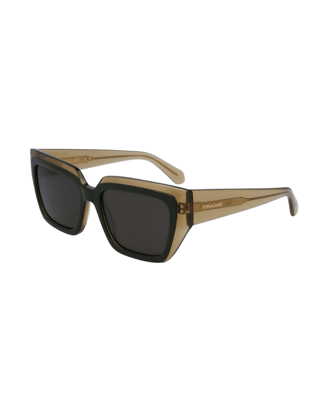 Salvatore Ferragamo Green Acetate Sunglasses Sunglasses
