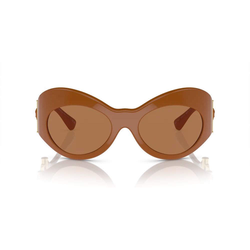 Versace Acetate Brown Sunglasses Glam Steals