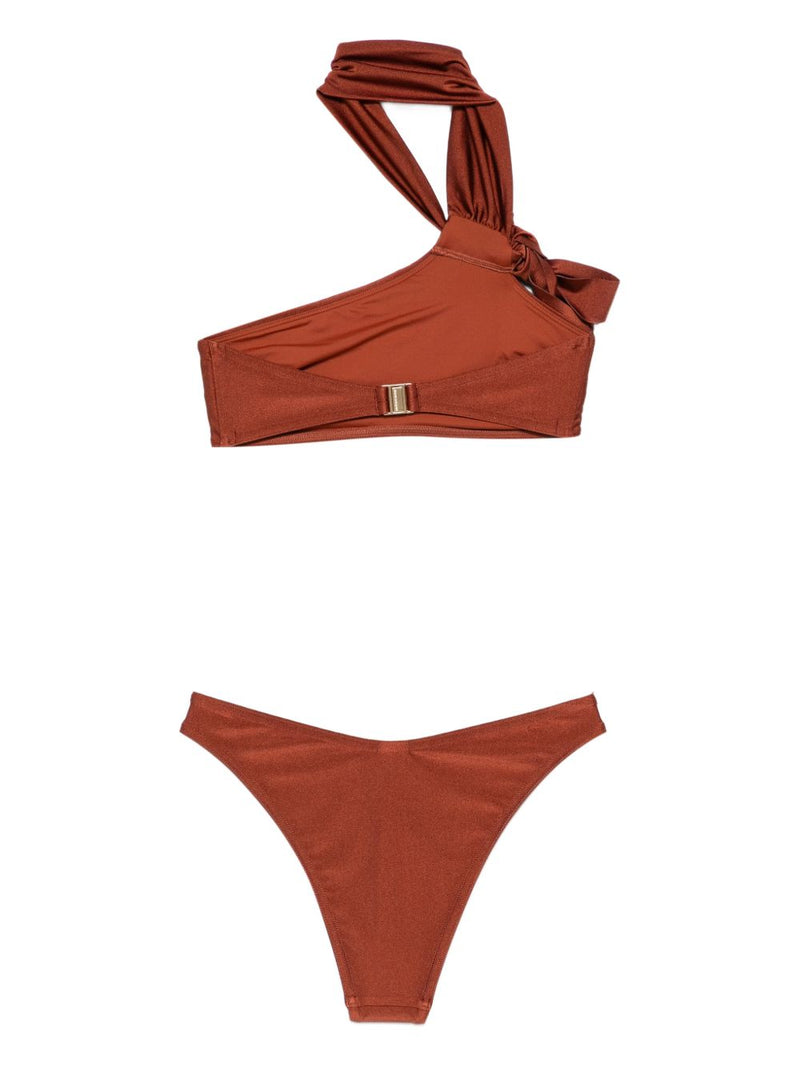 Zimmermann Brown Bikini Glam Steals