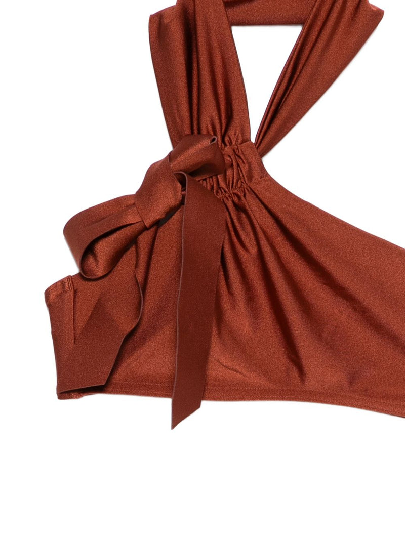 Zimmermann Brown Bikini Glam Steals