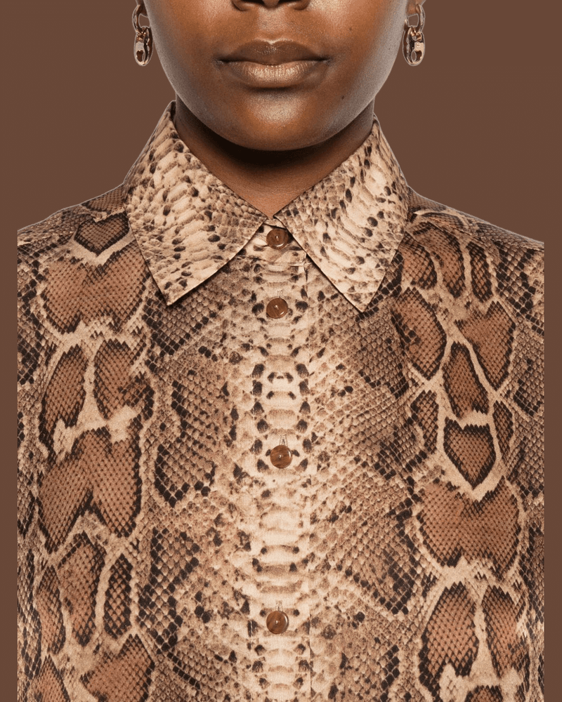 Zimmermann Brown Shirt Glam Steals