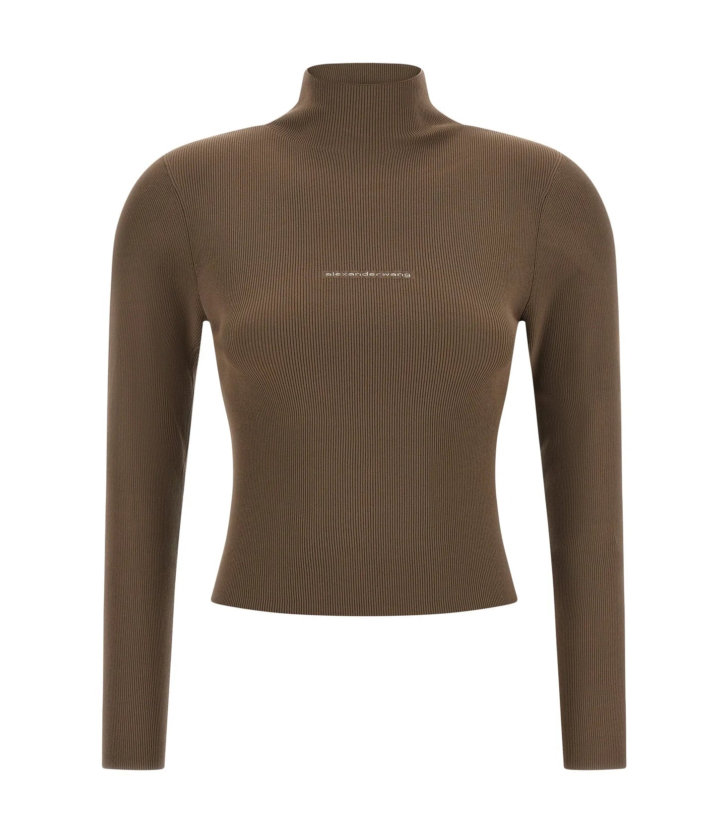 Alexander Wang Sweater in beige