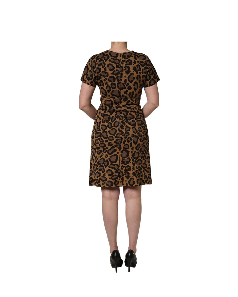 Dolce & Gabbana Dresse in brown, Polyester — view 6