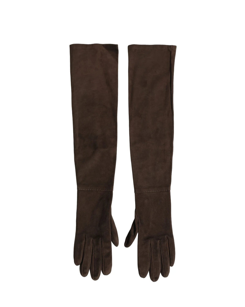 Dolce & Gabbana Gloves & Mitten in brown, Genuine Leather