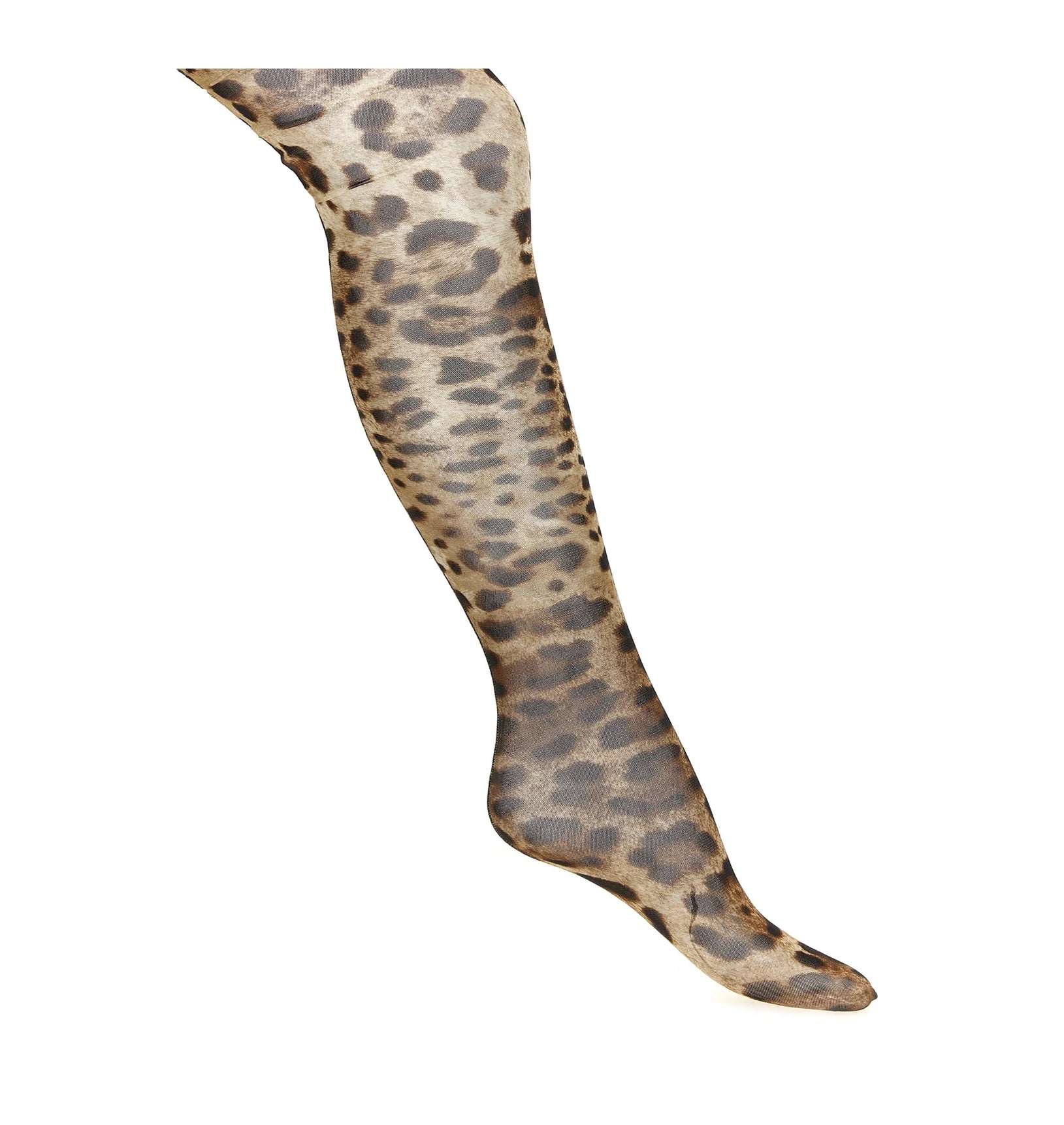 Dolce & Gabbana Knee Sock in brown, Polyamide