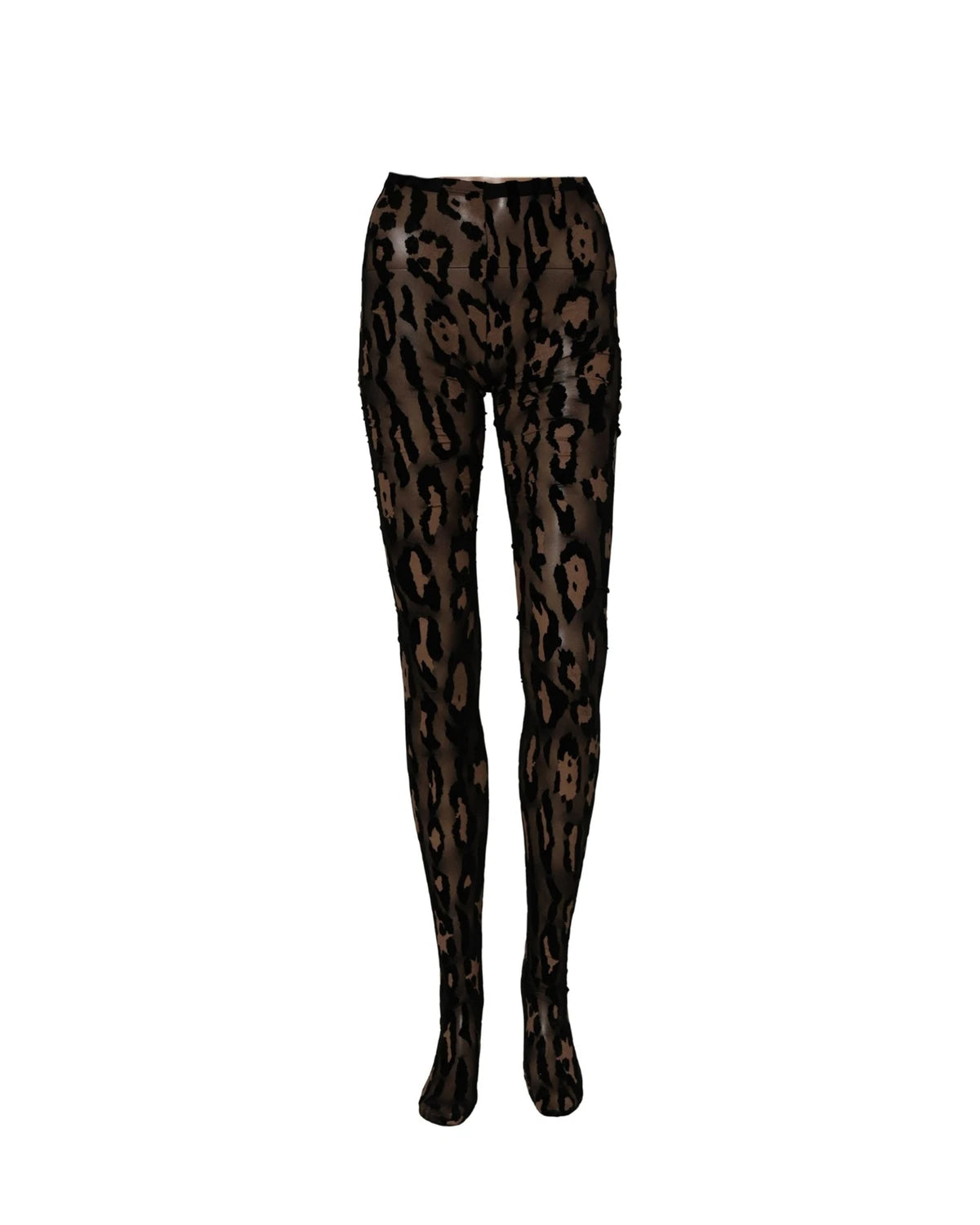 Dolce & Gabbana Pantyhose in black, Nylon — view 2