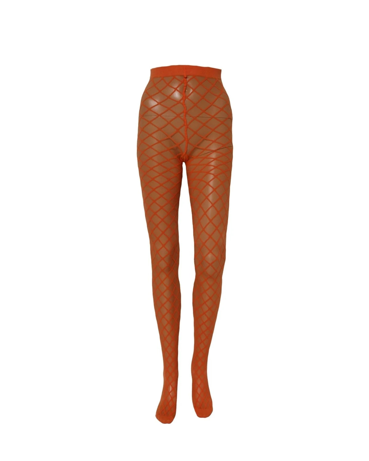 Dolce & Gabbana Pantyhose in orange, Nylon — view 3