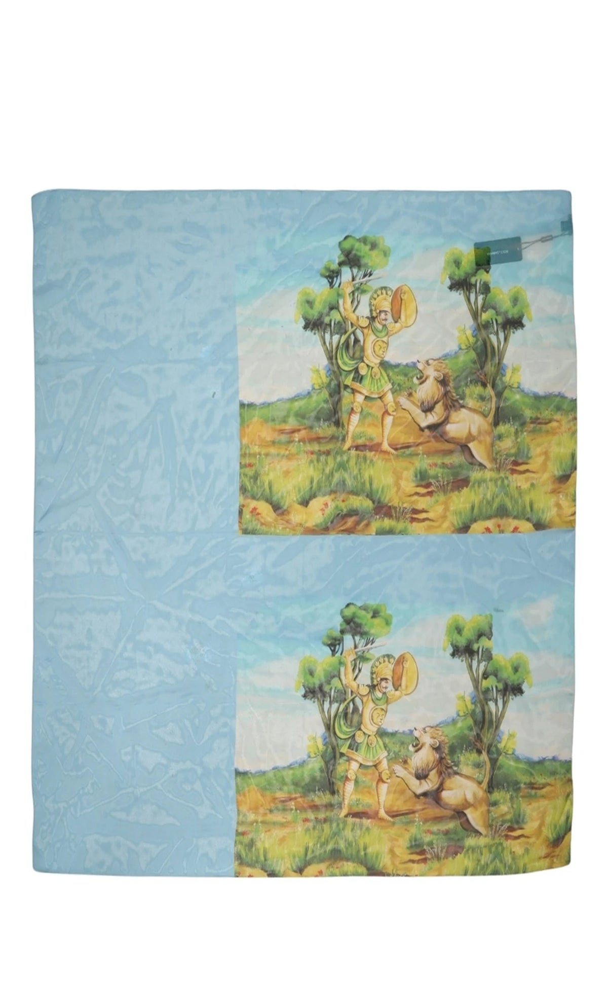 Dolce & Gabbana Scarves & Shawl in blue, Silk