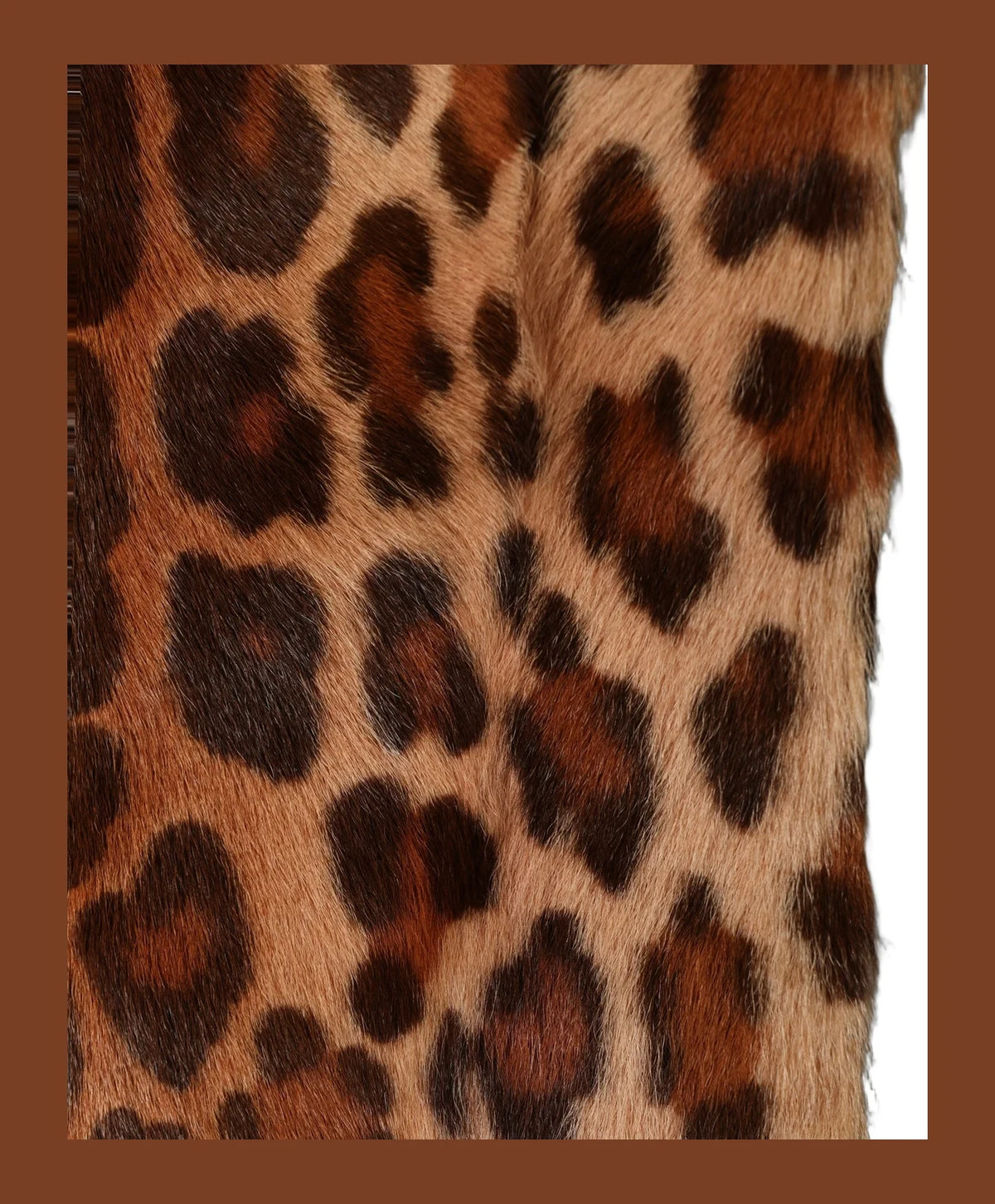 Dolce & Gabbana Scarves & Shawl in brown, Goat Hair — view 3