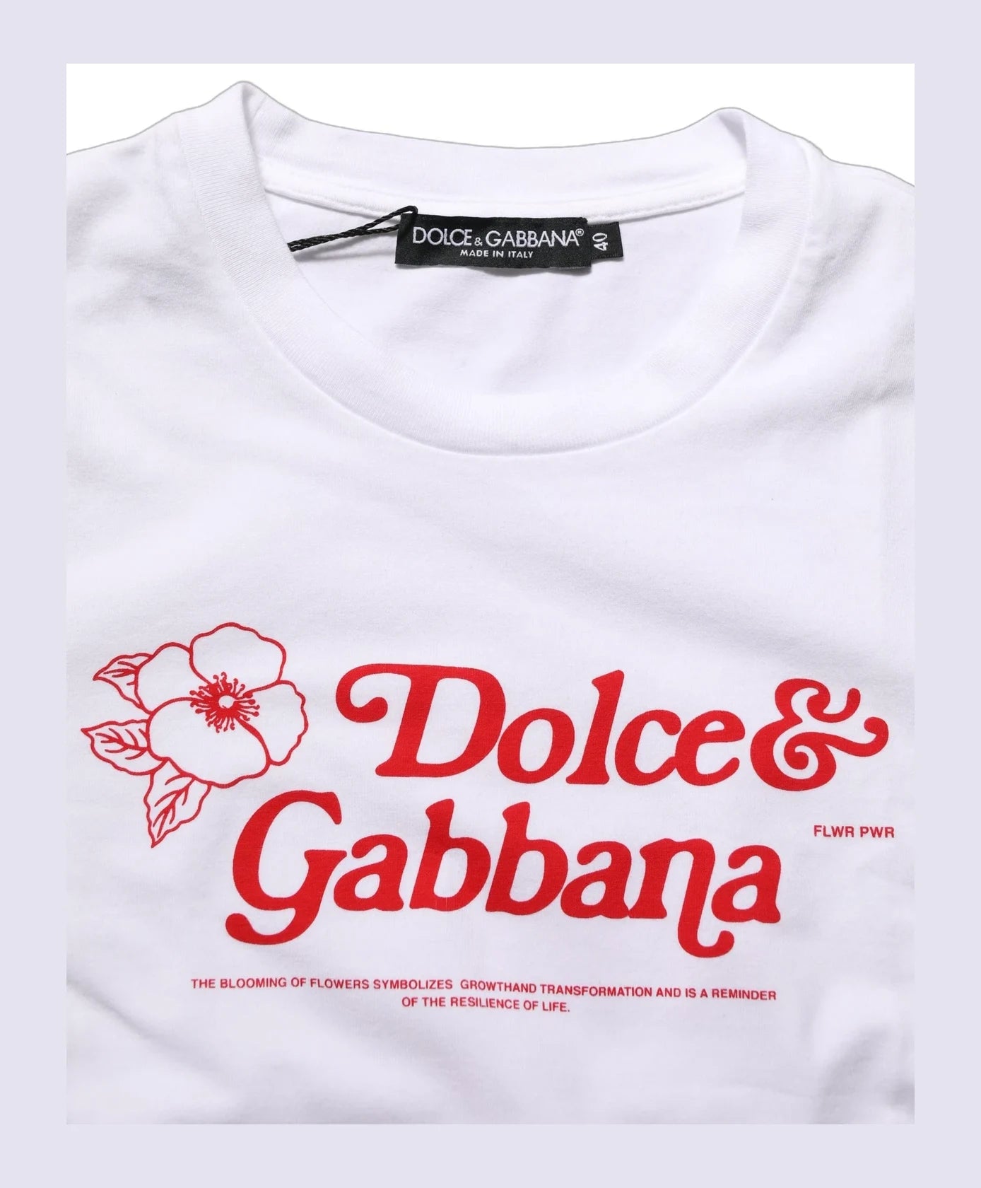 Dolce & Gabbana T-Shirt in white, Cotton — view 8