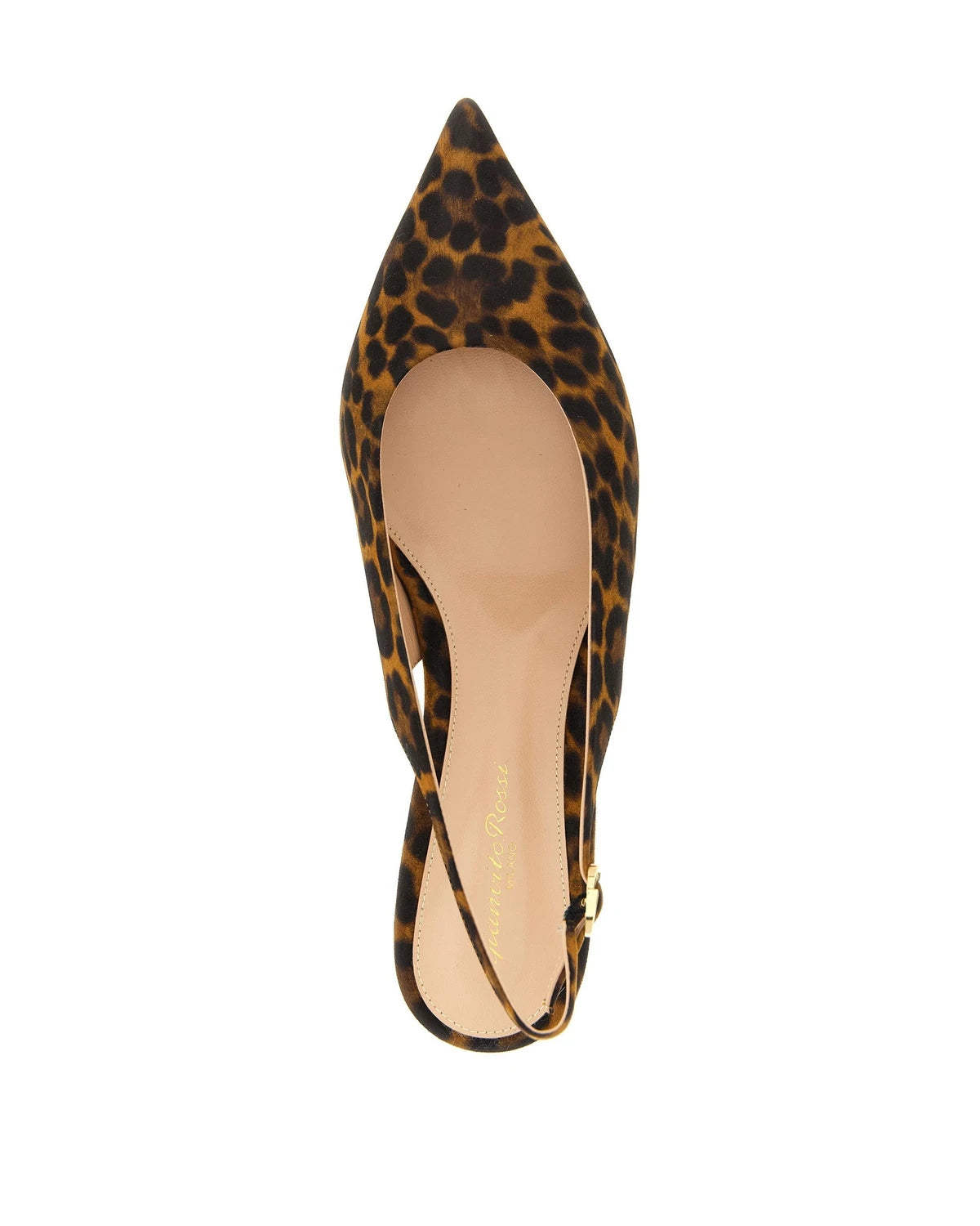 Gianvito Rossi Ballet Flats in brown, Suede Leather — view 4